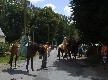 b_0074.jpg