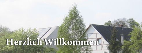 Niederfrohna im Netz