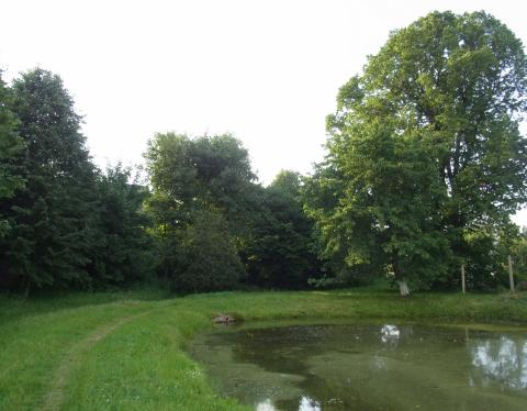 Sommerabend auf dem Land