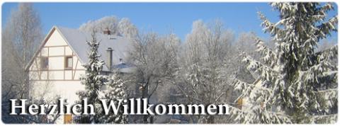 Niederfrohna im Netz
