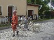 b_0165.jpg