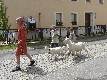 b_0166.jpg