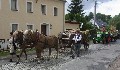 b_0172.jpg