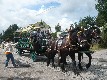 b_0084.jpg