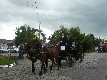 b_0128.jpg