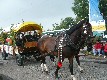 b_0162.jpg