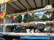 b_0183.jpg