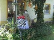 b_0054.jpg