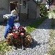 b_0071.jpg