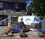 b_0098.jpg